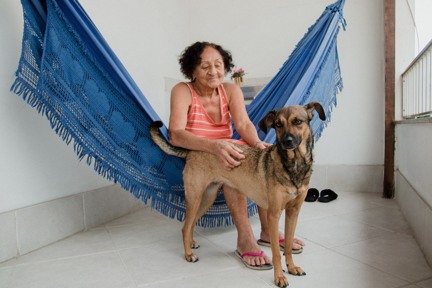 Vantagens de Antecipar o Precatório: A Lição do Vira-lata Caramelo e Dona Lúcia